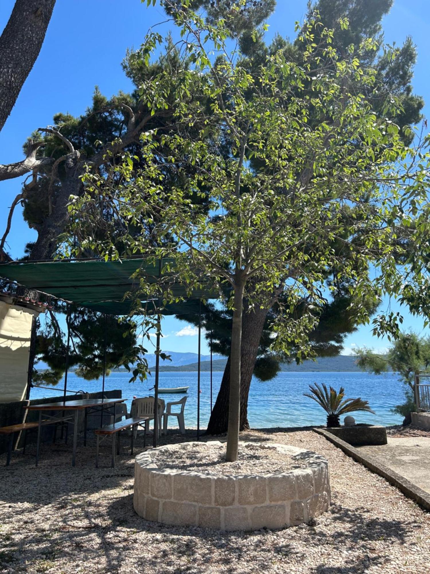 Sobe Gorana Otel Živogošće Dış mekan fotoğraf