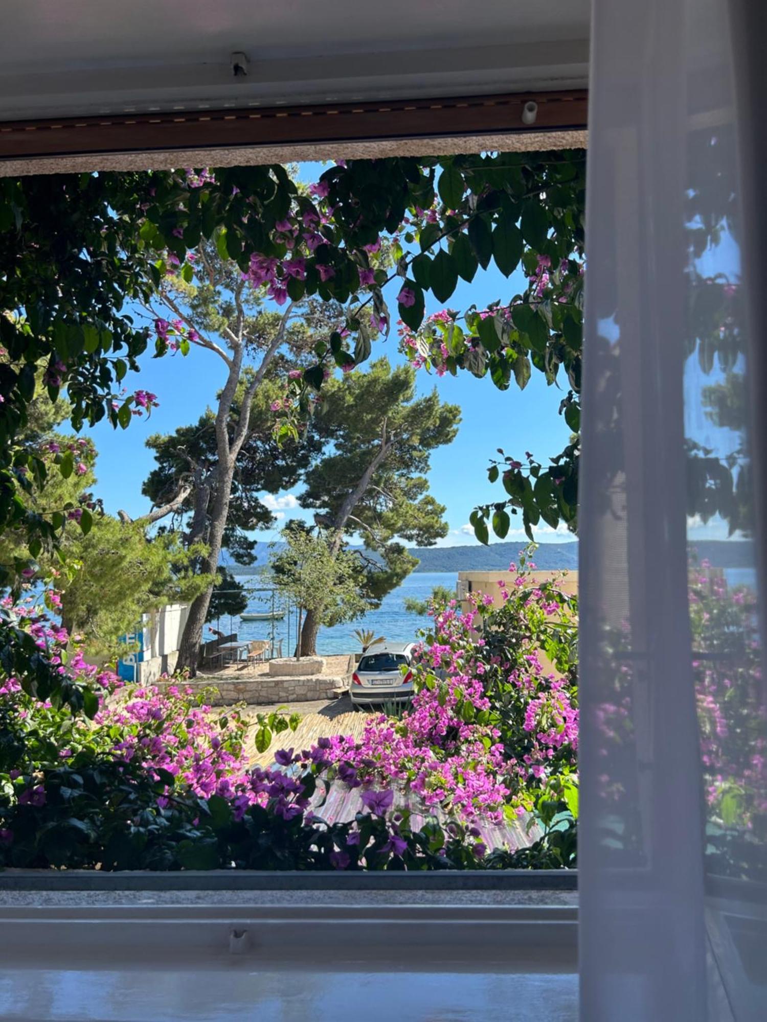 Sobe Gorana Otel Živogošće Dış mekan fotoğraf